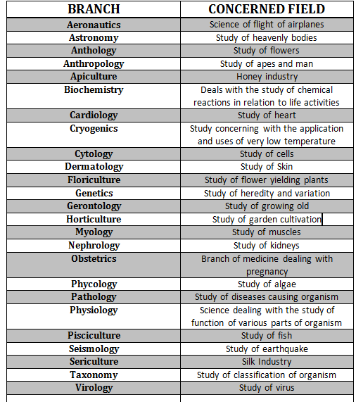 What are the branches of astronomy?